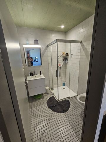 31/2-ROOM APARTMENT IN ZUCHWIL (DIM), FURNISHED, TEMPORARY - Photo 5