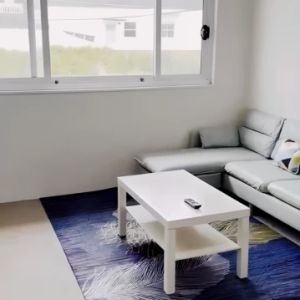 17 Kennedy St, Sydney - Photo 2