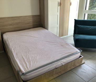 Location Appartement 1 pièce 24m² FONTAINEBLEAU 77300 - Photo 3