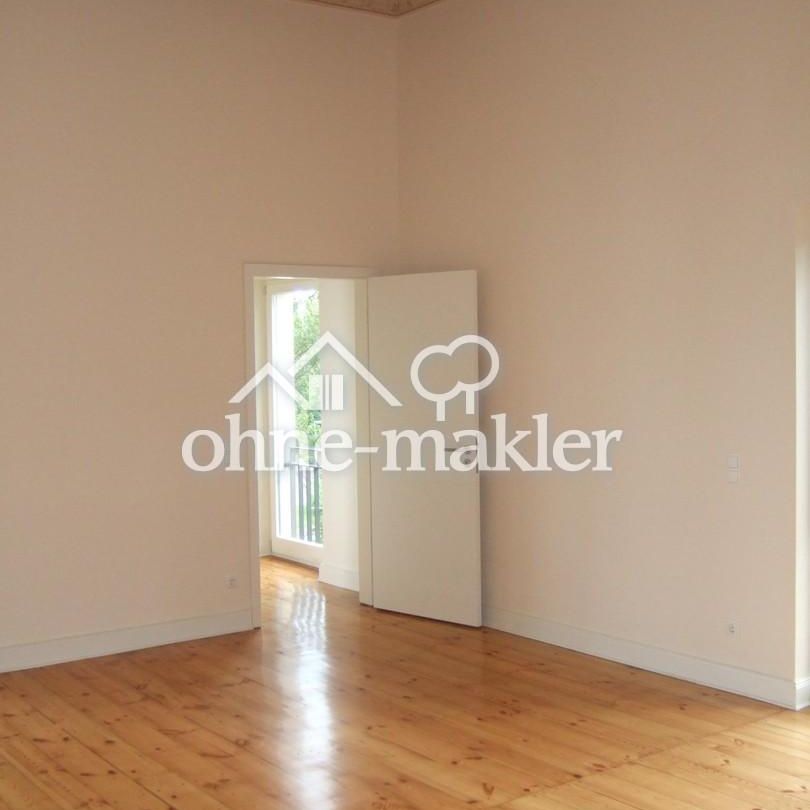 Großzügige Stuckaltbauwohnung mit Elbblick-Balkon - auf der wunderschönen Elbinsel - Photo 1