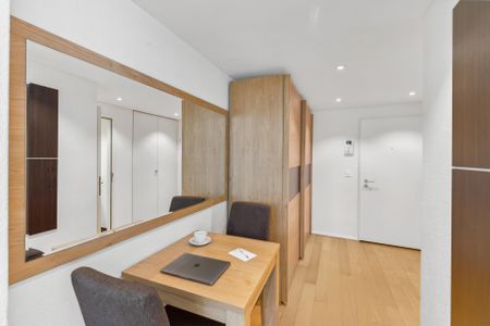 Möblierte 1-Zimmer-Wohnung mit Service - Stadtzentrum Basel - Photo 3
