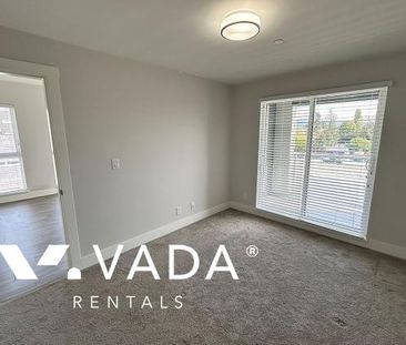 Unfurnished, Pet Friendly, 1 Bed 1 Bath Apartment For Rent - Photo 3