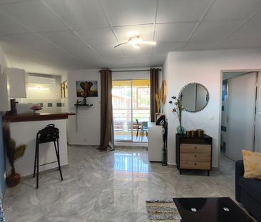 Location Appartement 1 pièce 24m² CAYENNE 97300 - Photo 4