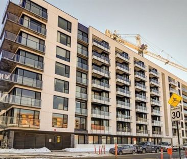 Appartement à louer - Montréal (Le Sud-Ouest) (Griffintown) Apparte... - Photo 3