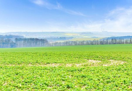Nyopført arkitekttegnet lavenergibolig - Photo 5