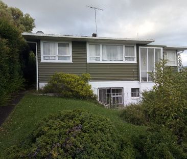 Downstairs Granny Flat Available - Photo 1