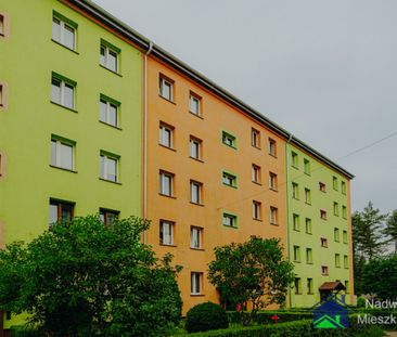 Trzebinia - Zdjęcie 2