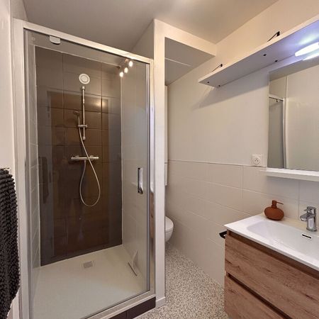 Location Appartement 1 pièce 24m² - Photo 4