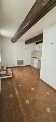 Location Appartement 1 pièce 19m² GONFARON 83590 - Photo 1