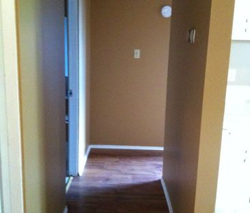 2 Bedrooms,large apartment! Amazing Location! Close to U of C! - Photo 2