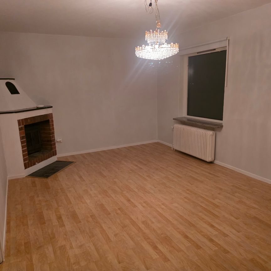 Nordenskiölds väg, Vega - Foto 1