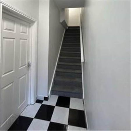 11A Rushfield Avenue, Off Ormeau Road, Belfast, BT7 3FP - Photo 4