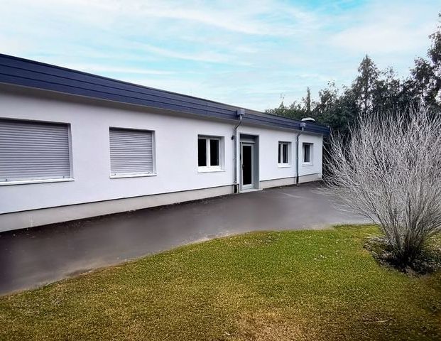 SCHADE IMMOBILIEN - Saniert und quasi barrierefrei! Exklusive 4-Zimmer-Mietwohnung in Plettenberg. - Photo 1