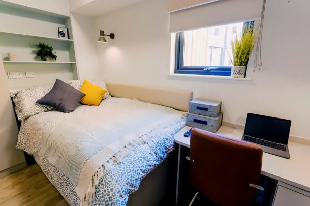 Penthouse Studio - Photo 1