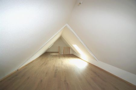 Location Appartement 3 pièces 77m² SCHIRMECK 67130 - Photo 3