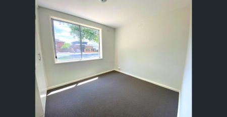 SPACIOUS TWO BEDROOM IN LEAFY TREE-LINED STREET - Photo 2