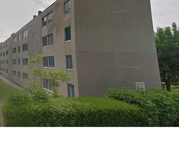 Appartement 3 pièces à Desvres - Photo 2