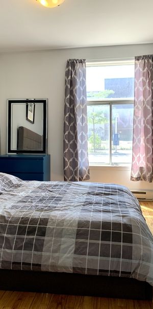 Mile-End - Superbe 5 1/2 De 3 Chambres - Photo 1