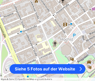 3-Zimmer-Erdgeschosswohnung in Frankfurt-Höchst: Stilvolles Ambient... - Foto 1