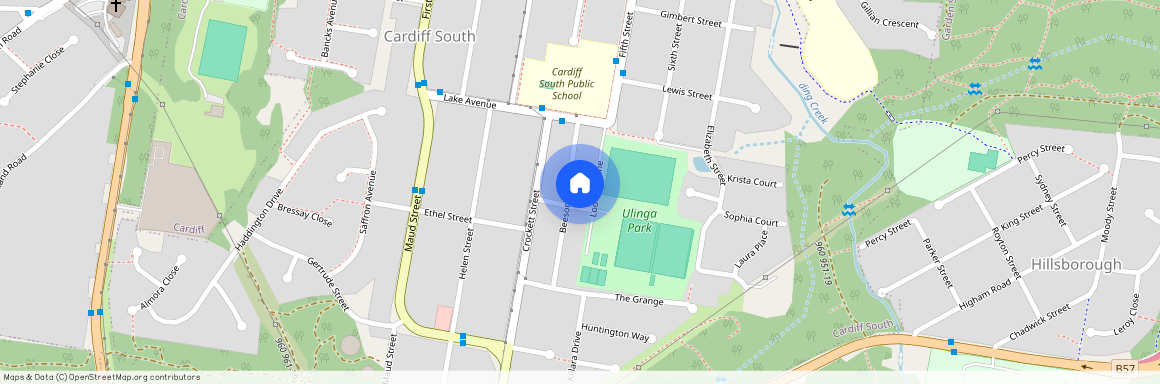 16 Beeson St, NSW 2285, Cardiff South