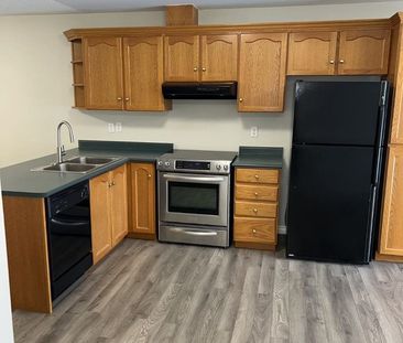 For Lease - 70 Marsellus Drive Unit# MAIN, Barrie, Ontario - Photo 4