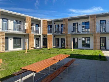 2. værelses lejlighed til den enlige - Photo 5