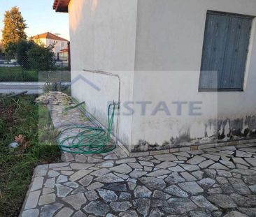 Μονοκατοικία για ενοικίαση Ροβιάτα (Αμαλιάδα) - Photo 3
