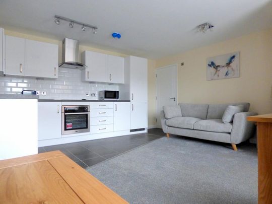 1 bedroom flat to rent - Photo 1