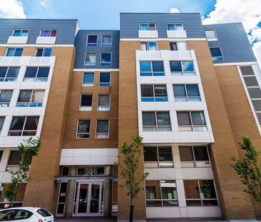 Rue Saint-Dominique - Photo 4