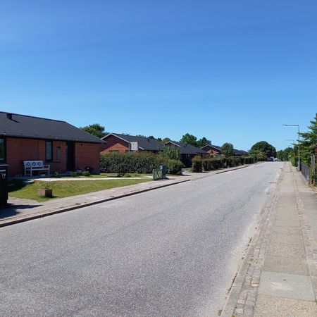 Skolevej - Photo 4