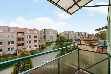 Pronájem bytu 2+1 50 m² - Fotografie 5