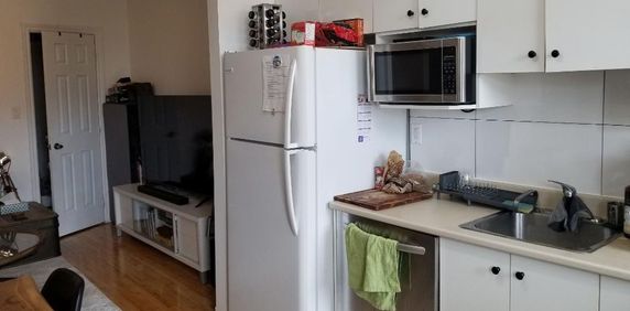 Beau logement 4½ rénové récemment, dans Rosemont-La-Petite-Patrie, près de la piste cyclable et du Plateau Mont-Royal - Photo 2