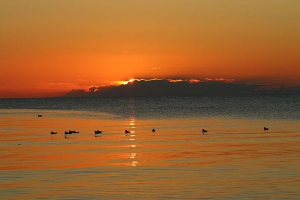 Väskinde Salthamn, Visby - Foto 1