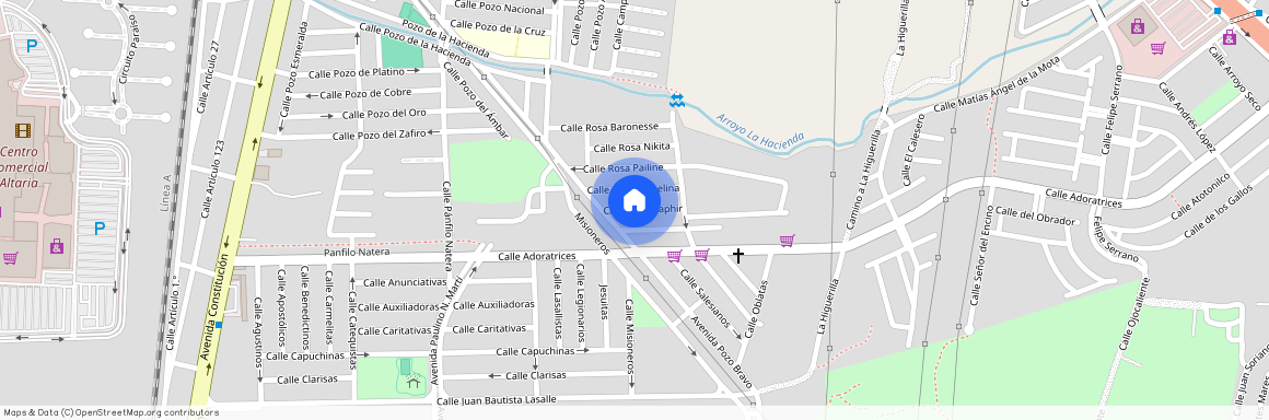 Rosa Saphir, El Rosedal, Aguascalientes, Casa, Aguascalientes