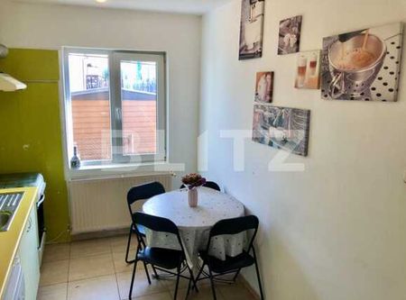 1 camera, 45 mp, semidecomandat, zona strazii Piezisa - Fotografie 5
