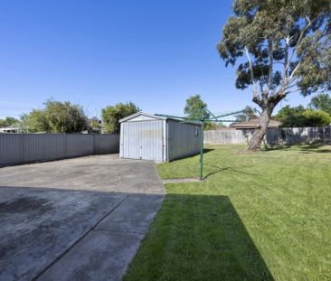 Updated Three Bedroom Home Just Minutes to the Cbd! - Photo 4