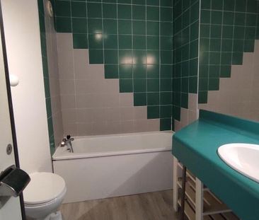 Location Appartement 1 pièce 19m² CHASSENEUIL DU POITOU 86360 - Photo 6