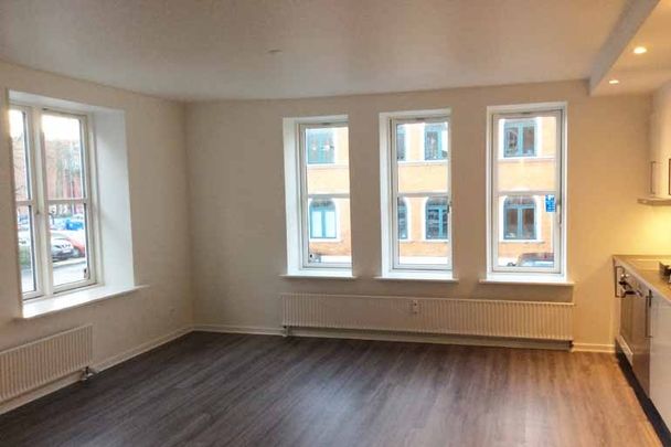 Dejlig 2-værelses lejlighed midt i Odense C - Photo 1