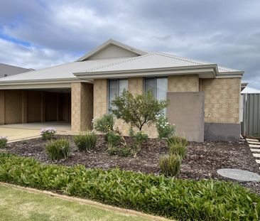 Modern Spacious Home - Photo 3