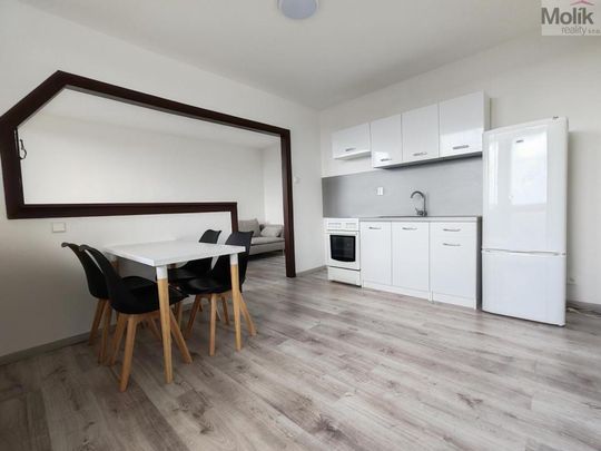 Pronájem bytu 1+1 40 m2 - Photo 1