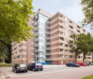 Fluitekruidweg 0ong, 1508 Zaandam, Nederland - Foto 2