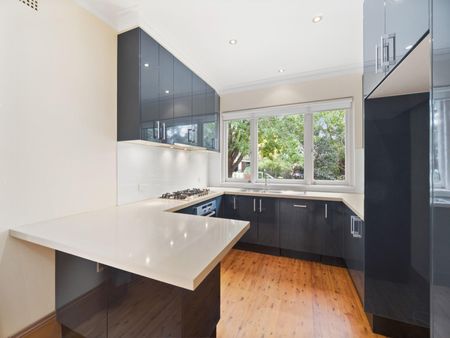 45 Barcoo, Roseville NSW 2069 - House For Rent | Domain - Photo 5