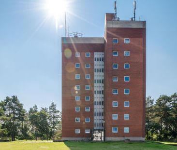 Moderne Singlewohnung mit Balkon und saniertem Duschbad! - Photo 3