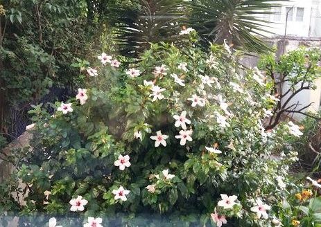 Cozy room with private bathroom in Lisbon Alvalade