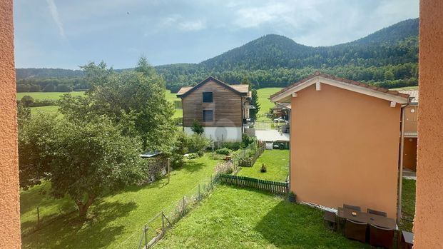 PLUS DISPO - Photo 1