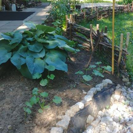 5 1/2 foyer tout inclus (wifi et hydro) terrain bordé d'un étang - Photo 4