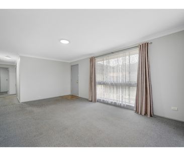 20 Jamison Street - Photo 5