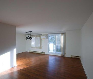 Condo à louer – Grand 4 ½ rénové à Sainte-Foy, secteur Campanile - Photo 1