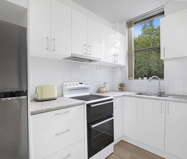 3/20 Hazelbank Road, Wollstonecraft NSW 2065 - Apartment For Rent |... - Photo 4