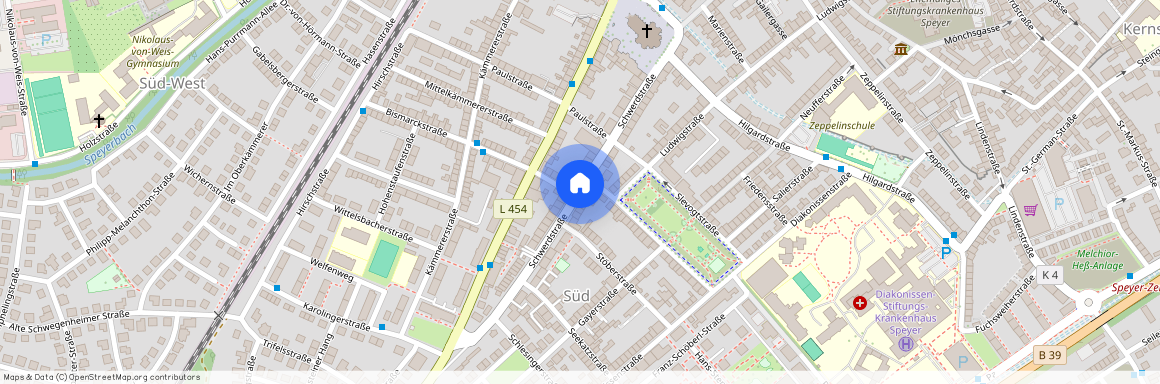 Schwerdstrasse, 67346 Speyer